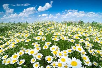 http://upforme.ru/uploads/000c/62/3c/8/t404610.jpg