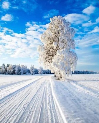 http://upforme.ru/uploads/000c/62/3c/8/t498679.jpg