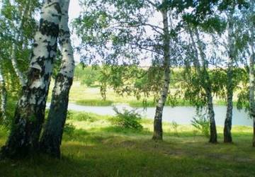 http://upforme.ru/uploads/000c/62/3c/8/t754210.jpg