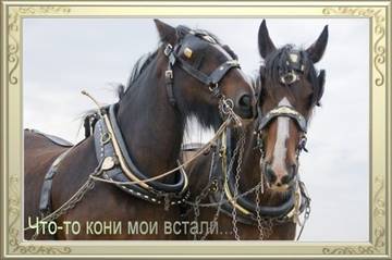 http://upforme.ru/uploads/000c/62/3c/8/t952893.jpg