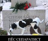 http://upforme.ru/uploads/000c/76/a8/2/t108167.jpg