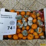 http://upforme.ru/uploads/000c/76/a8/2/t187795.jpg