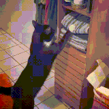 http://upforme.ru/uploads/000c/76/a8/2/t238395.gif