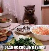 http://upforme.ru/uploads/000c/76/a8/2/t472685.jpg