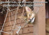 http://upforme.ru/uploads/000c/76/a8/2/t887156.jpg