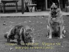 http://upforme.ru/uploads/000c/76/a8/2/t959159.jpg