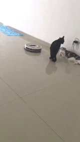 http://upforme.ru/uploads/000c/76/a8/2/t992271.gif