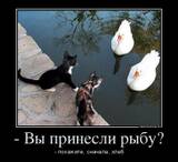 http://upforme.ru/uploads/000c/76/a8/6/t206005.jpg