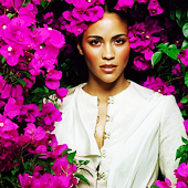 http://upforme.ru/uploads/000c/77/06/110003-1.png