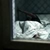 http://upforme.ru/uploads/000c/77/06/112496-1.gif
