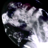http://upforme.ru/uploads/000c/77/06/117436-4.gif