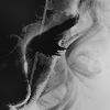 http://upforme.ru/uploads/000c/77/06/125228-1.png