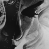 http://upforme.ru/uploads/000c/77/06/125229-1.png