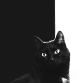 http://upforme.ru/uploads/000c/77/06/63341-1.gif
