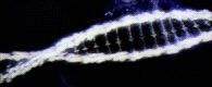http://upforme.ru/uploads/000c/77/06/81892-1.gif