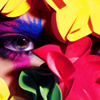 http://upforme.ru/uploads/000c/77/06/84177-2.png