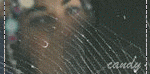 http://upforme.ru/uploads/000c/80/16/1032-1.gif