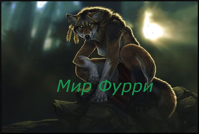 http://upforme.ru/uploads/000c/91/0a/470-1-f.jpg