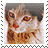 http://upforme.ru/uploads/000c/97/18/43250-5.png