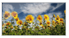 http://upforme.ru/uploads/000c/af/35/9103-1.gif