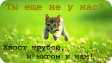 http://upforme.ru/uploads/000c/bd/51/412-1.png