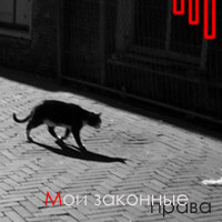 http://upforme.ru/uploads/000c/c9/83/80-3.jpg