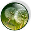 http://upforme.ru/uploads/000c/c9/83/89-1.png