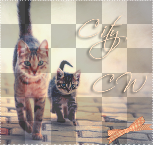 http://upforme.ru/uploads/000c/e6/d0/140-1-f.png