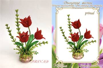 http://upforme.ru/uploads/000c/fa/7e/1857/t106866.jpg