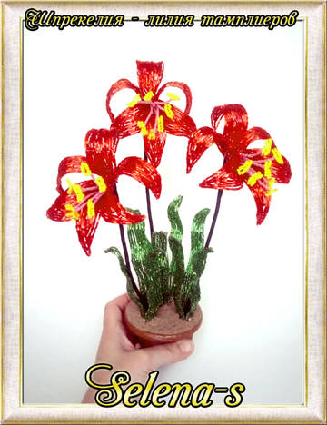 http://upforme.ru/uploads/000c/fa/7e/2/t153970.jpg