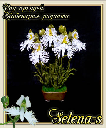 http://upforme.ru/uploads/000c/fa/7e/2/t450965.jpg