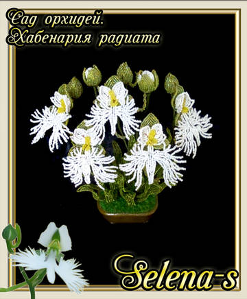 http://upforme.ru/uploads/000c/fa/7e/2/t569229.jpg