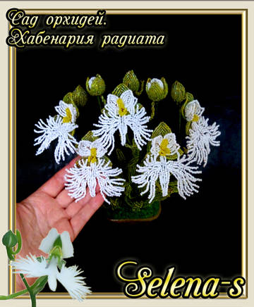http://upforme.ru/uploads/000c/fa/7e/2/t852873.jpg