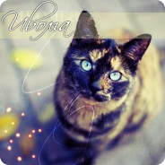 http://upforme.ru/uploads/000c/ff/ac/1681-1.png