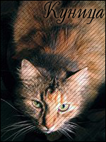 http://upforme.ru/uploads/000c/ff/ac/1681-2.png
