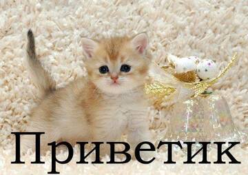 http://upforme.ru/uploads/000d/0b/8f/701/t345423.jpg