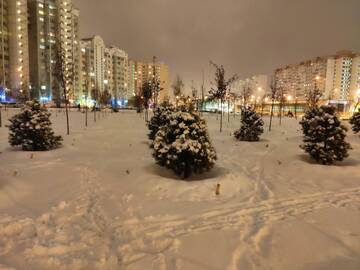 http://upforme.ru/uploads/000d/0e/cb/183/t216390.jpg