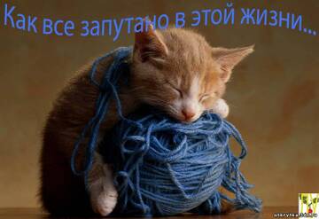 http://upforme.ru/uploads/000d/0e/cb/183/t245504.jpg