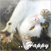 http://upforme.ru/uploads/000d/10/cc/341-3.png