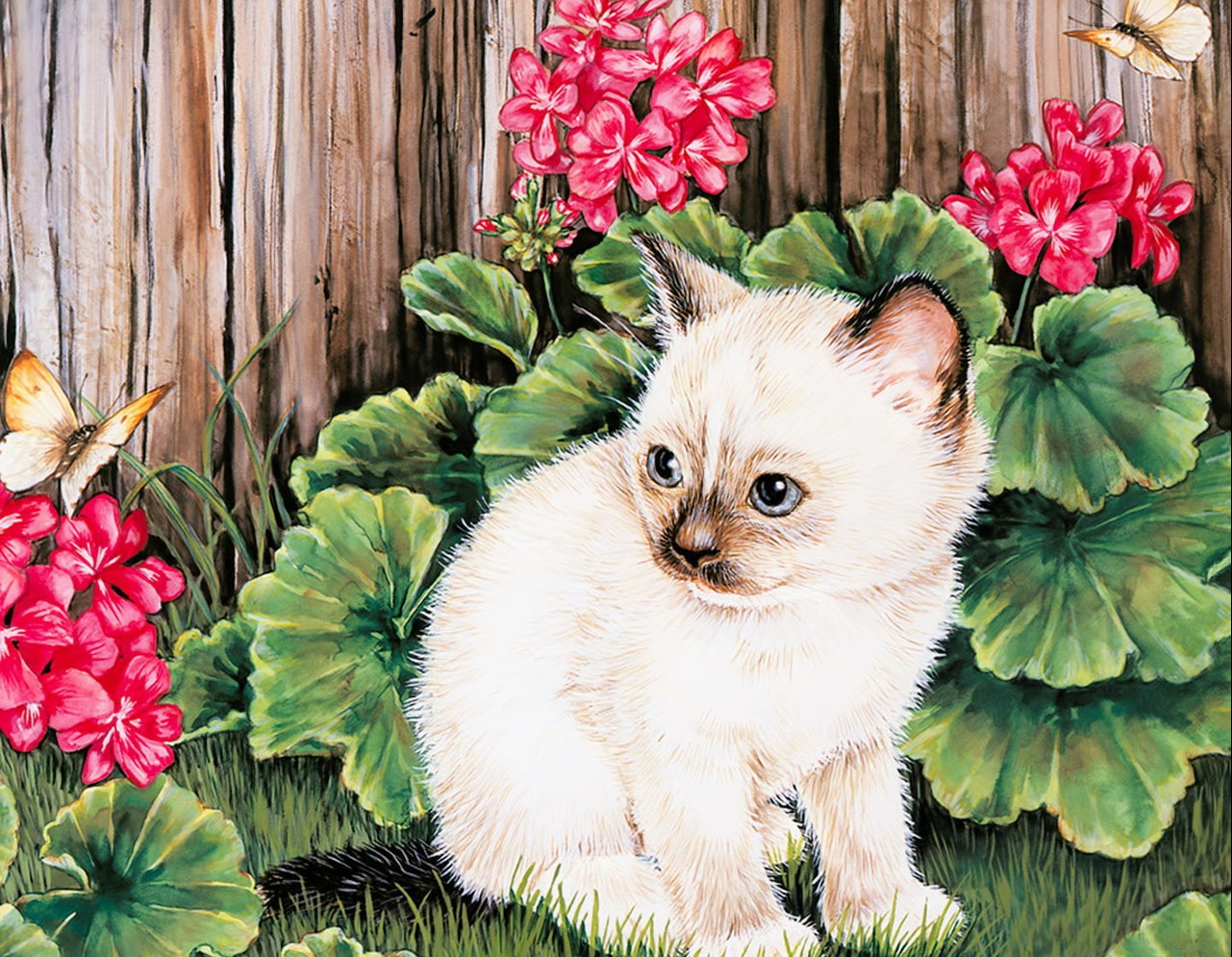http://upforme.ru/uploads/000d/3f/09/999-3-f.jpg