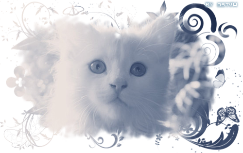 http://upforme.ru/uploads/000d/50/2e/1067-1-f.png
