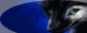http://upforme.ru/uploads/000d/52/fa/513-1.gif
