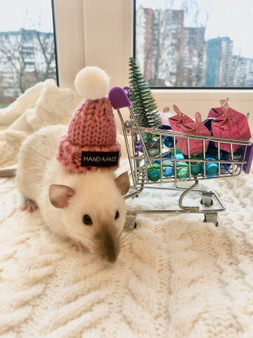 http://upforme.ru/uploads/000d/5a/26/2/t839488.jpg