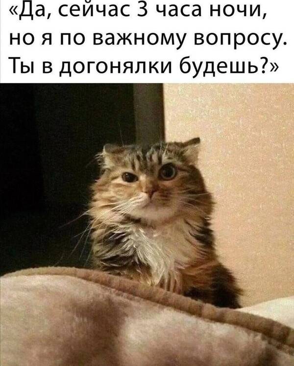 http://upforme.ru/uploads/000d/6b/61/3698/t188749.jpg