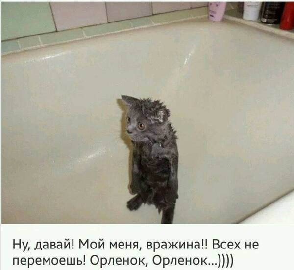 http://upforme.ru/uploads/000d/6b/61/3698/t295174.jpg