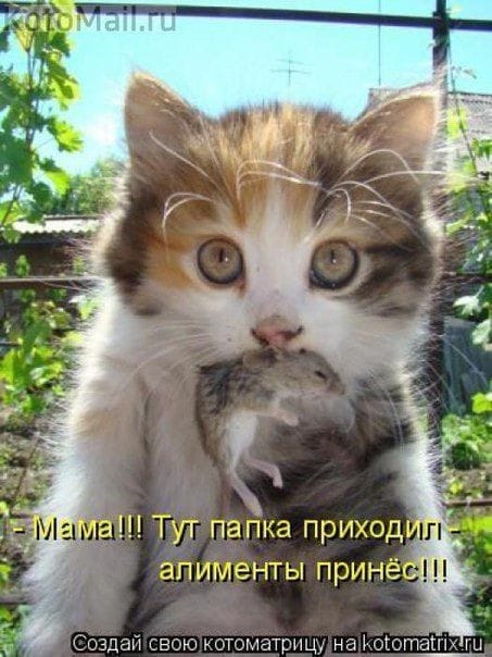 http://upforme.ru/uploads/000d/6b/61/3813/t100773.jpg