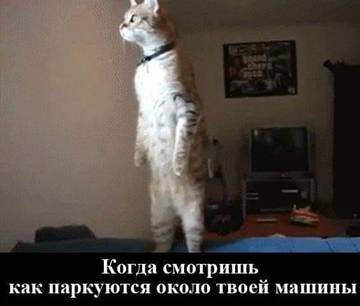 http://upforme.ru/uploads/000d/6b/61/3813/t12132.jpg