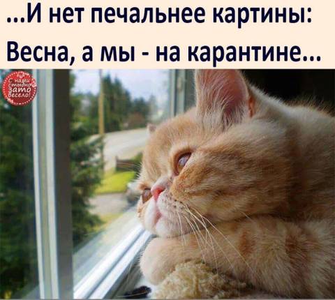 http://upforme.ru/uploads/000d/6b/61/3813/t128524.jpg
