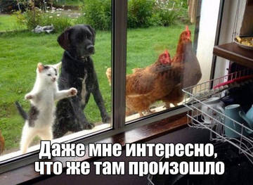 http://upforme.ru/uploads/000d/6b/61/3813/t14857.jpg