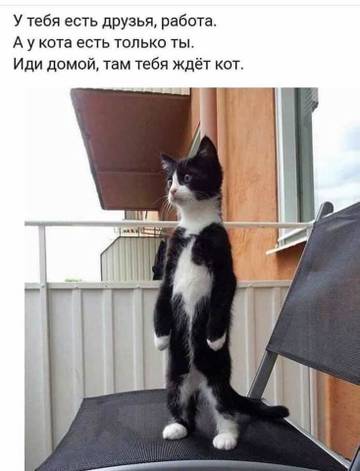 http://upforme.ru/uploads/000d/6b/61/3813/t15206.jpg